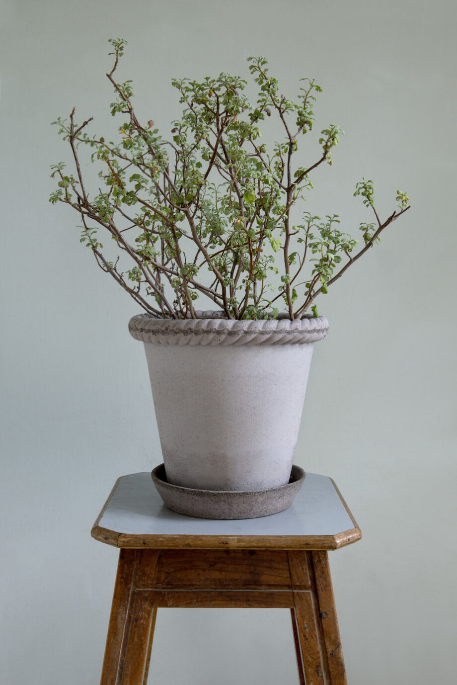 Bergs Potter Emilia Pot Grey 21 cm m/skål