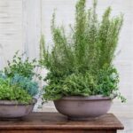 Bergs Potter Erbe Raw Grey 40 Cm