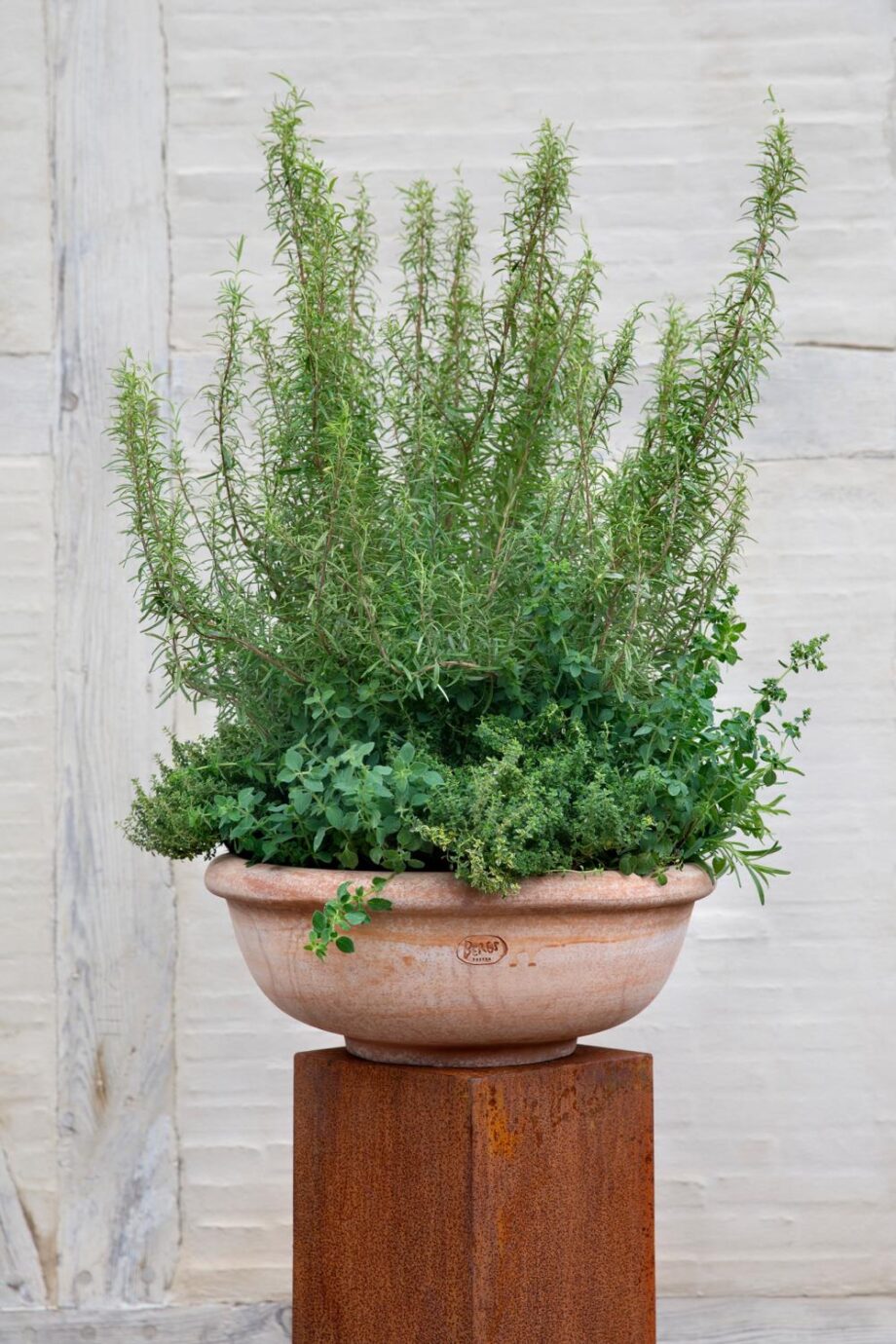 Bergs Potter Erbe Raw Rosa Ø45 cm