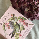 Made By Stella Scented Candle Nectarine Flower & Honey