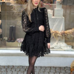 Selected Femme Silja Dress Emroidery Dress Solid