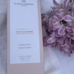 Plantes & Parfums Fruits from the Market Duftpinner 100ml