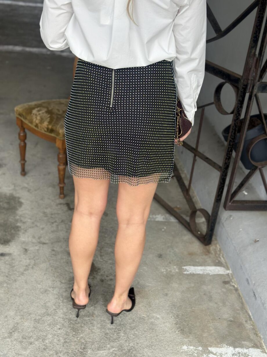 Arnie Says Emme Embellished Skirt