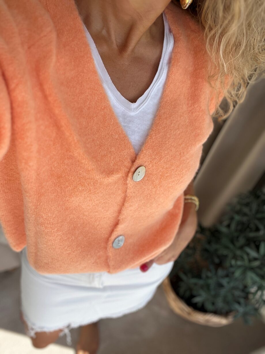 BYIC Vicky Cardigan Orange