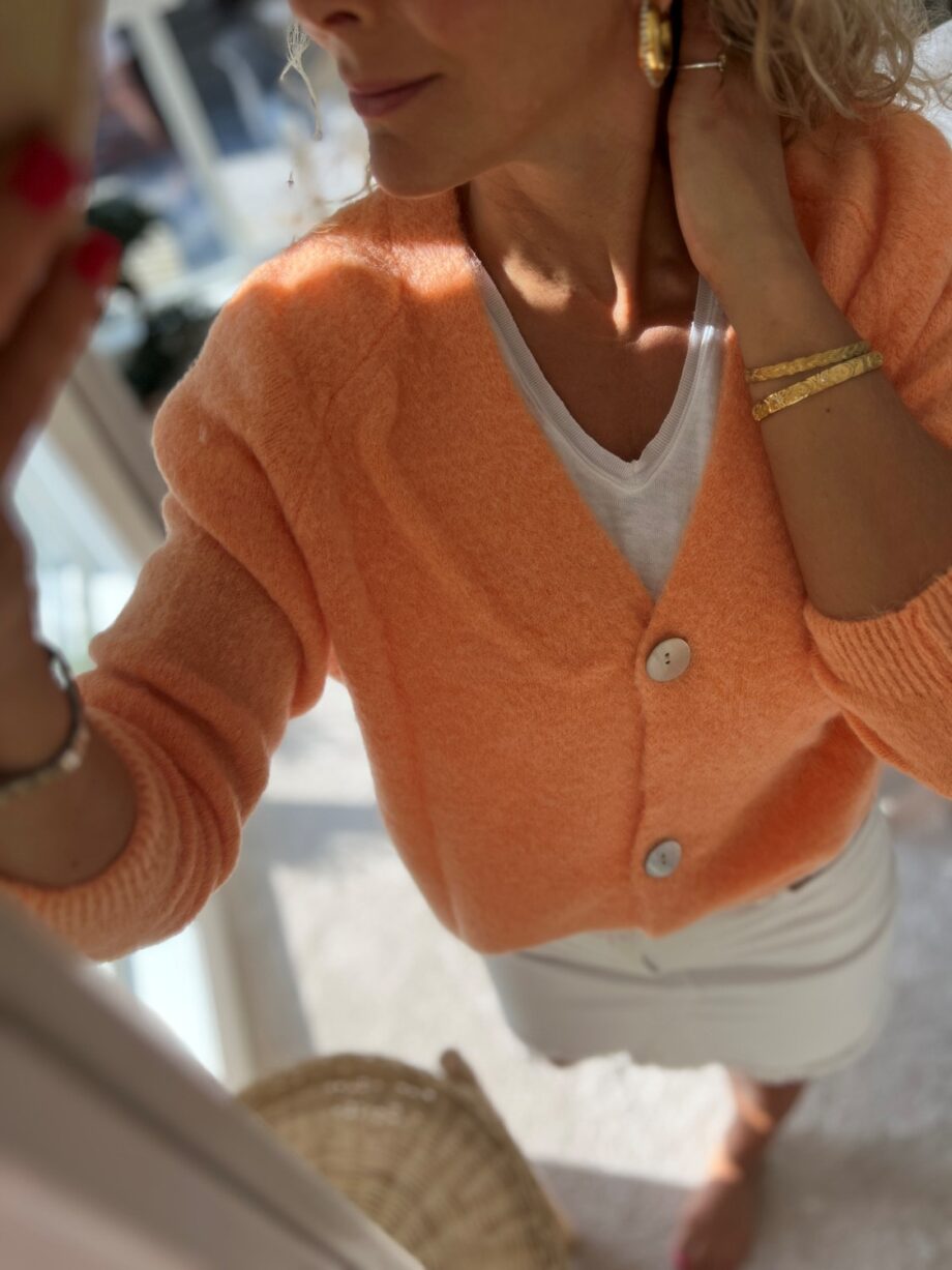 BYIC Vicky Cardigan Orange