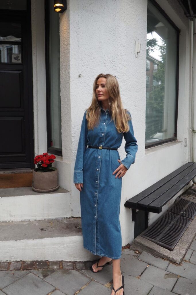 Selected Femme Regular Agathe Long Denim Dress