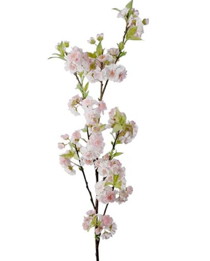 Mr. Plant Kirsebærblomst