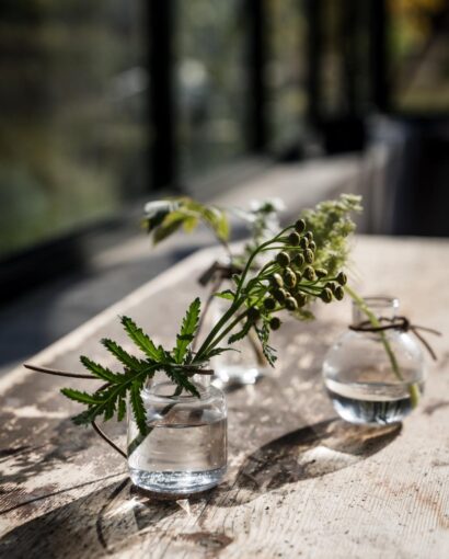 Ernst Glassvaser Mini 3pk