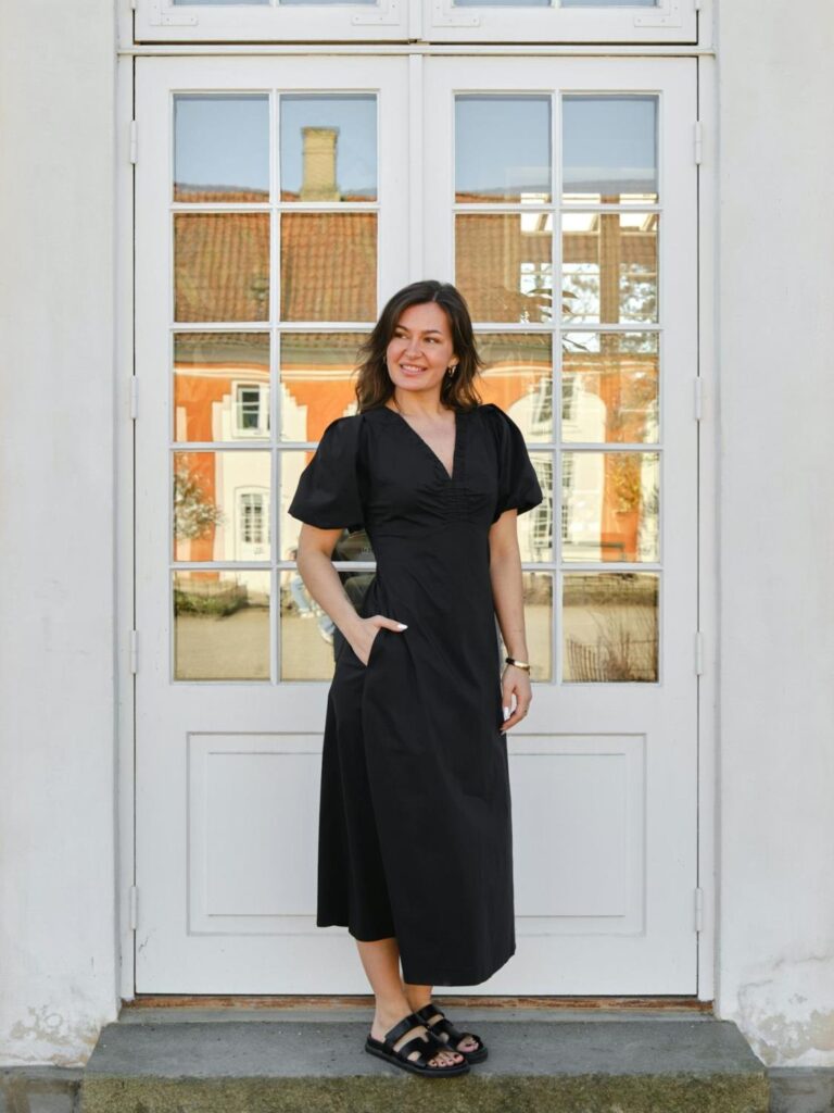 Neo Noir Illana Poplin Dress Black