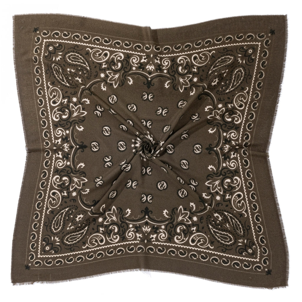 Endless El Paso Army - Sesongens store Paisley Skjerf - Bilde 2
