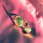 Pernille Corydon Seashell ring
