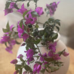 MadeByStella Vase i kermamikk